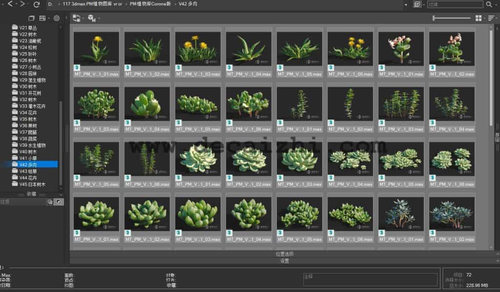 PM植物库4000多个植物模型（CR和VR两个版本）插图31661380030687 1024x599.jpg