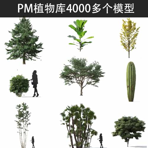 PM植物库4000多个植物模型（CR和VR两个版本）