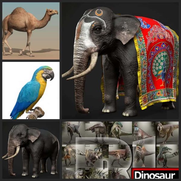 5 Animal 3d models